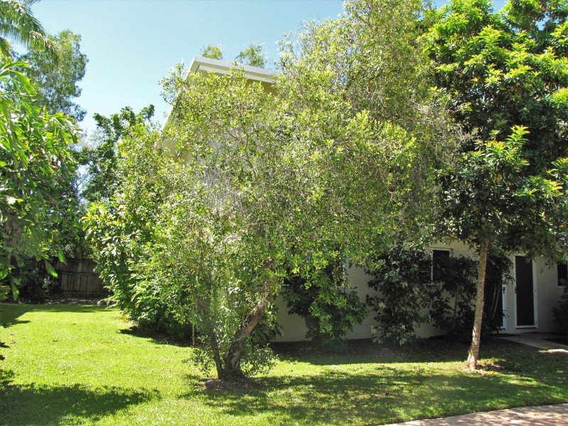 33 Plantation Resort/1 Beor Street, Craiglie QLD 4877