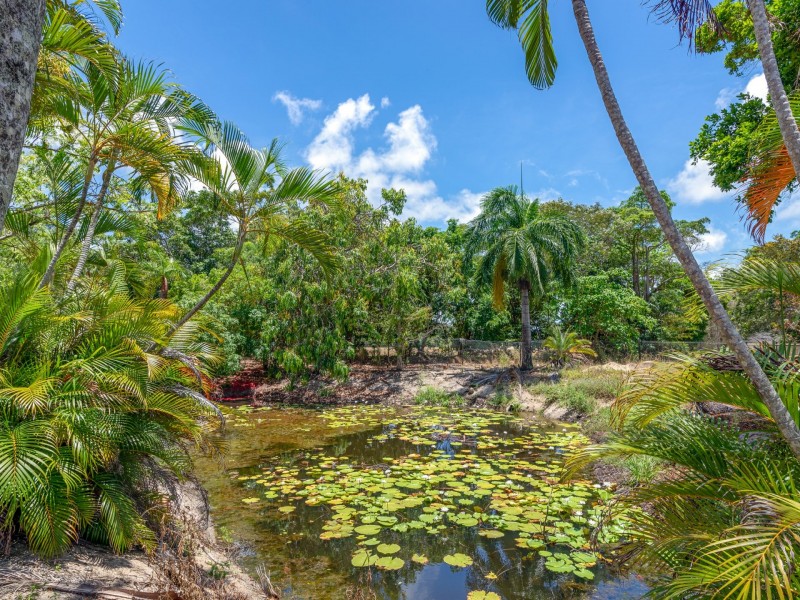 1 Bowman Close, Wonga Beach QLD 4873