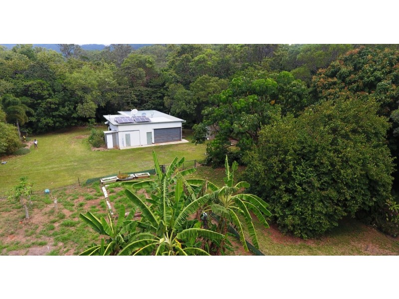 103 Rosewood Road, Cow Bay, Daintree QLD 4873