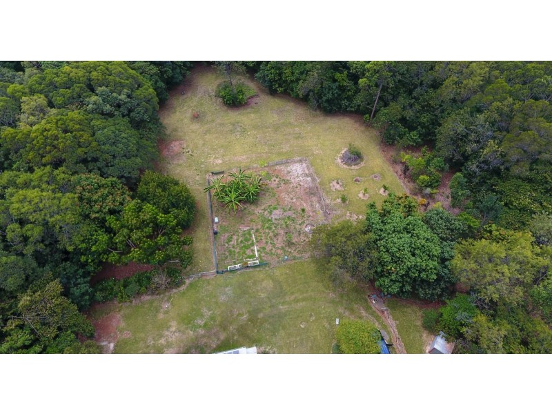 103 Rosewood Road, Cow Bay, Daintree QLD 4873