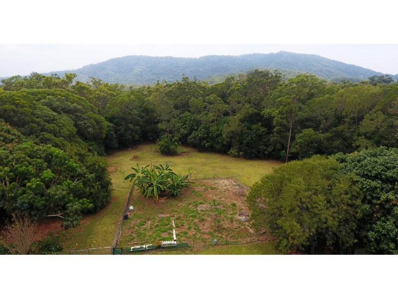 103 Rosewood Road, Cow Bay, Daintree QLD 4873
