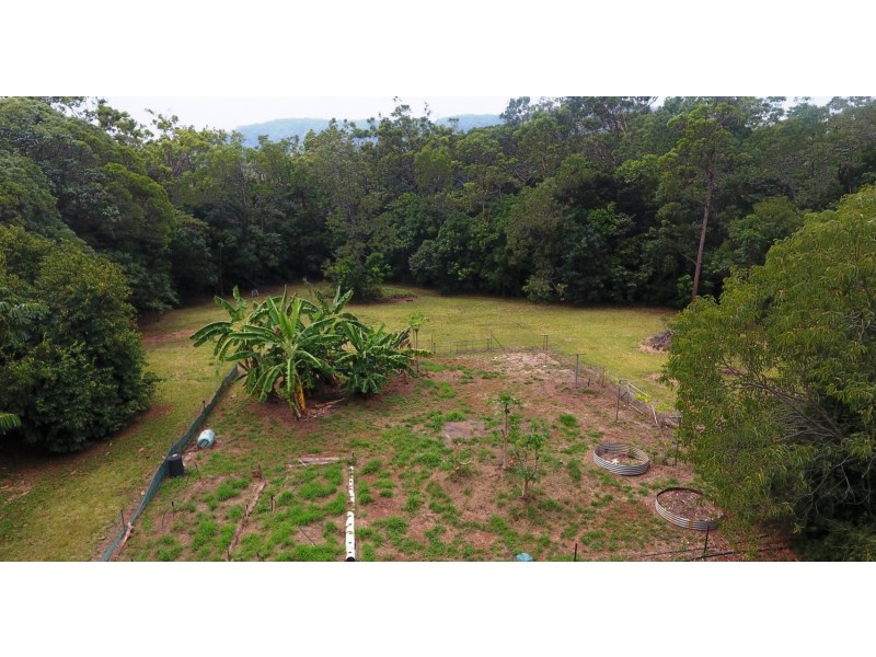 103 Rosewood Road, Cow Bay, Daintree QLD 4873