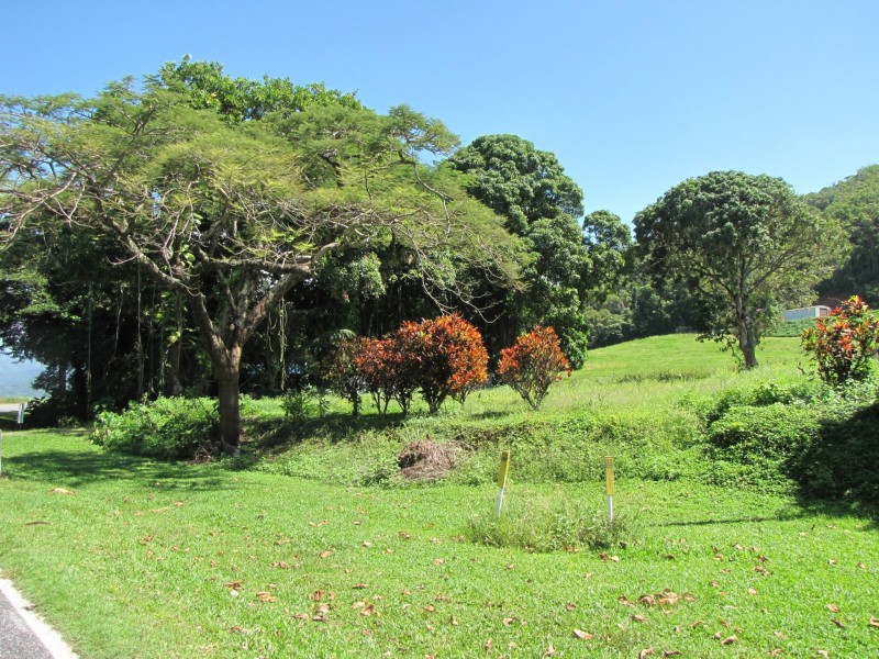 1187 Mossman Daintree Road, Rocky Point QLD 4873