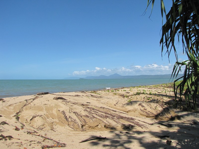 1187 Mossman Daintree Road, Rocky Point QLD 4873