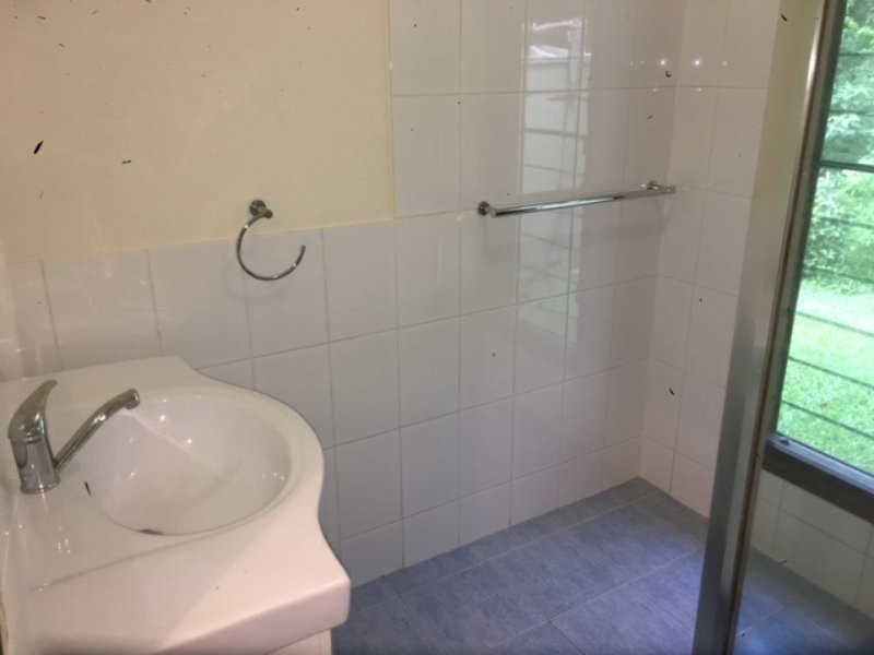 841 Cape Tribulation Road, Kimberley, Daintree QLD 4873