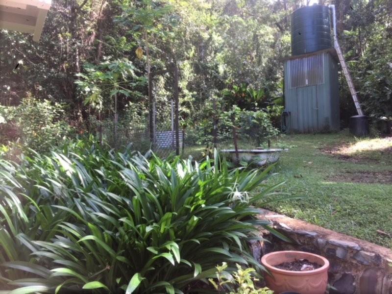841 Cape Tribulation Road, Kimberley, Daintree QLD 4873