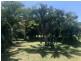 86 Marlin Drive, Wonga Beach QLD 4873
