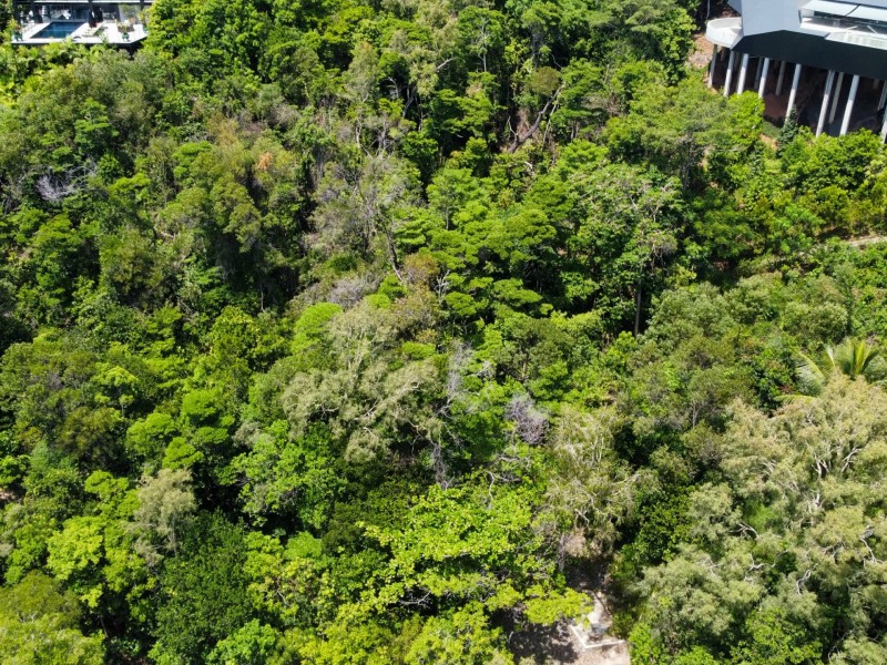 32 Murphy Street, Port Douglas QLD 4877