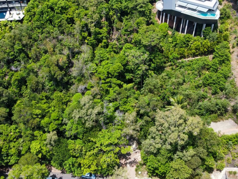 32 Murphy Street, Port Douglas QLD 4877