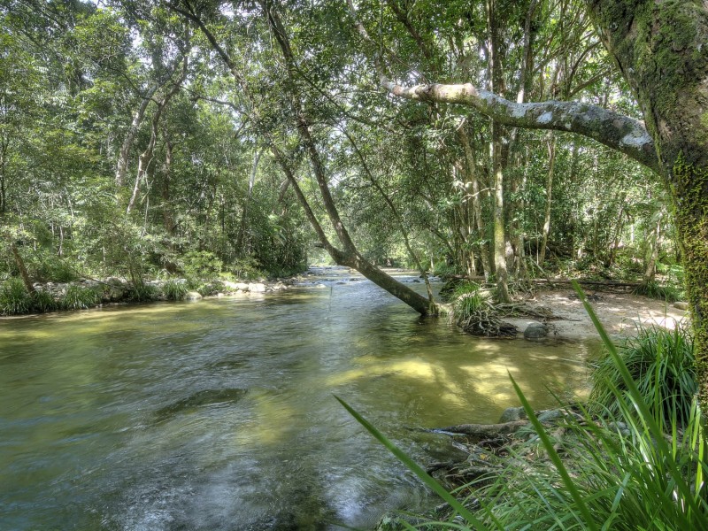 Lot 2 Finlayvale Road, Mossman QLD 4873