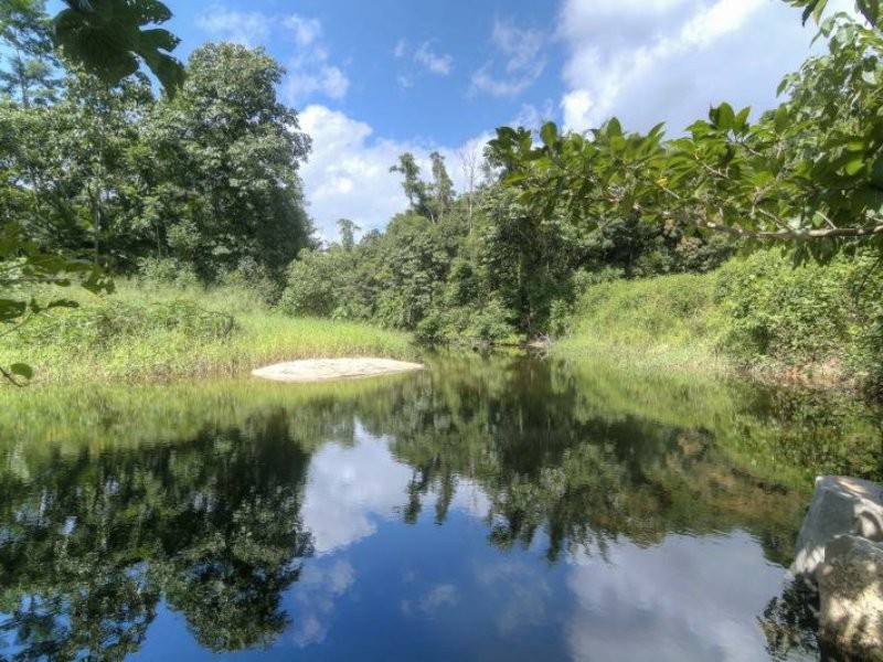 Lot 2 Finlayvale Road, Mossman QLD 4873