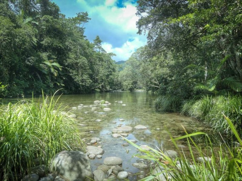 Lot 2 Finlayvale Road, Mossman QLD 4873