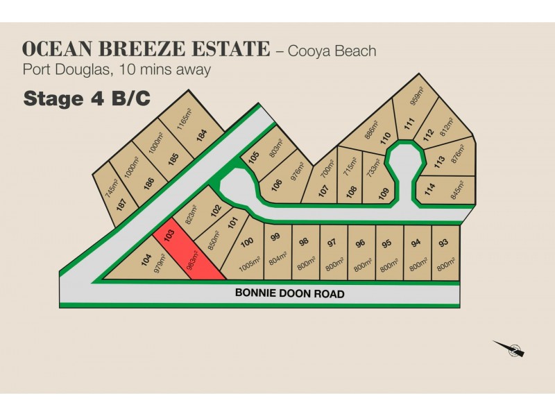 82 Cooya Beach Road, Bonnie Doon QLD 4873