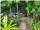 157 Old Forestry Road, Whyanbeel QLD 4873