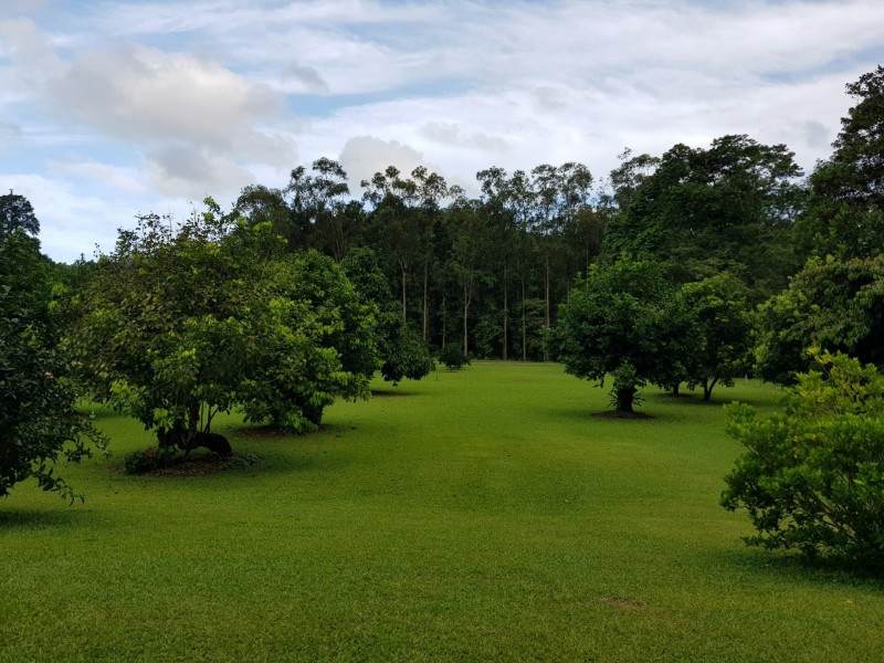 157 Old Forestry Road, Whyanbeel QLD 4873