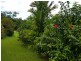 157 Old Forestry Road, Whyanbeel QLD 4873