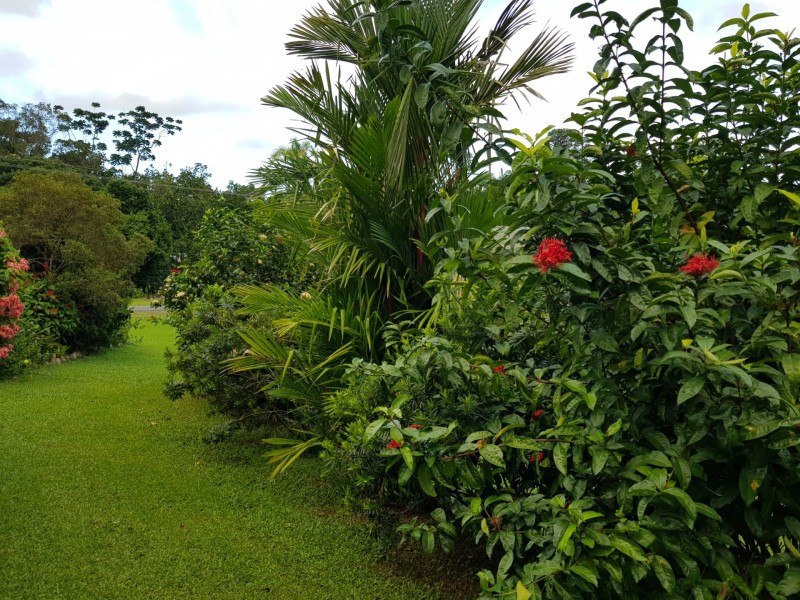 157 Old Forestry Road, Whyanbeel QLD 4873