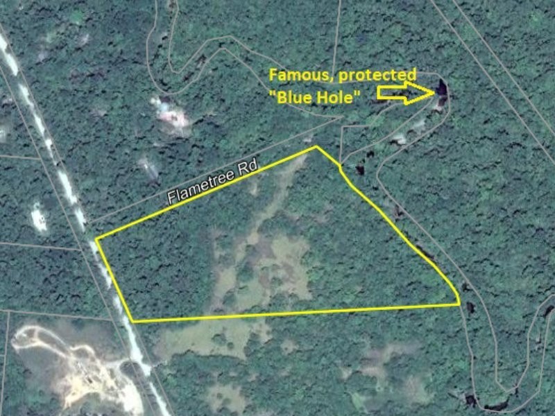 180 Turpentine Road, Daintree QLD 4873