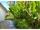 11 Sonata Close, Port Douglas QLD 4877