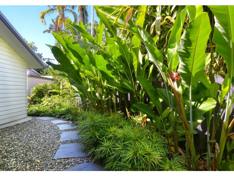 11 Sonata Close, Port Douglas QLD 4877