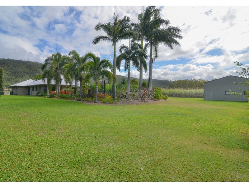 6512 Captain Cook Highway, Killaloe QLD 4877