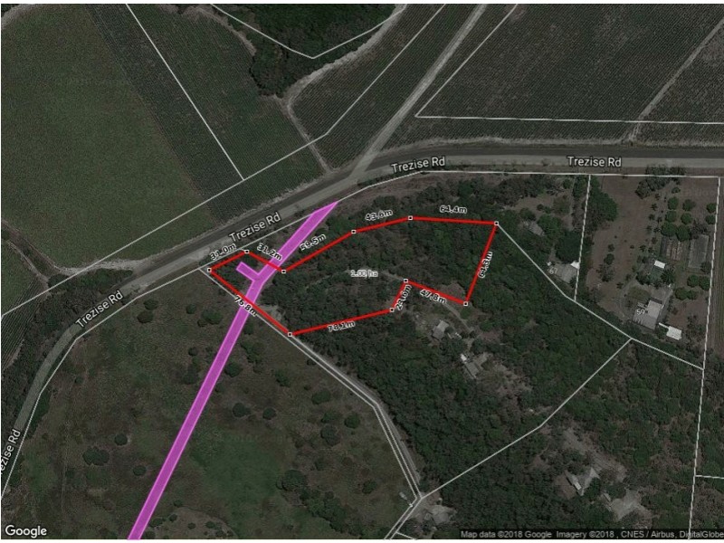 99 Trezise Road, Mowbray QLD 4877