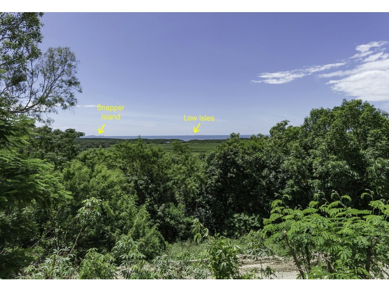 99 Trezise Road, Mowbray QLD 4877