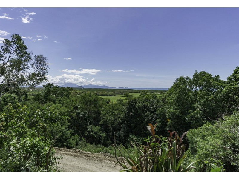 99 Trezise Road, Mowbray QLD 4877