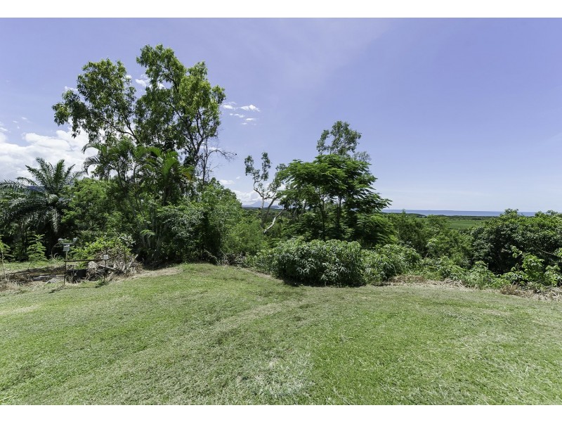 99 Trezise Road, Mowbray QLD 4877