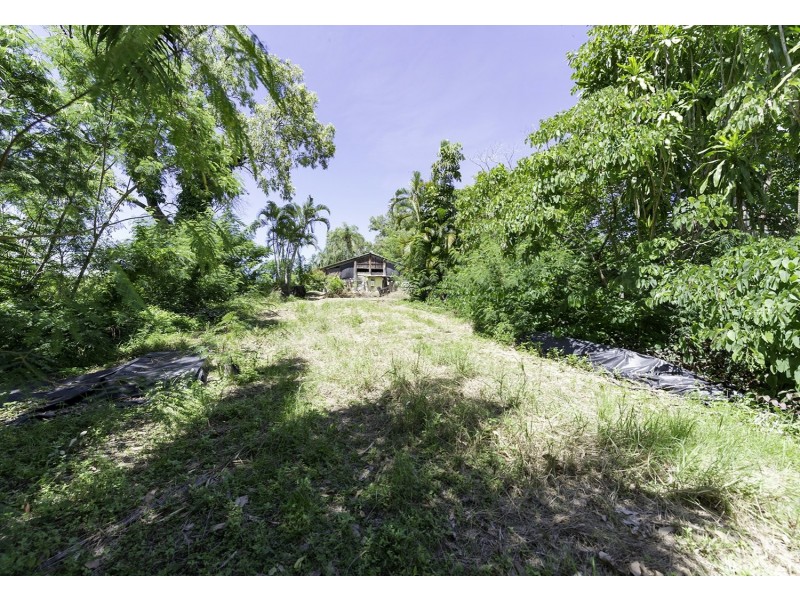 99 Trezise Road, Mowbray QLD 4877