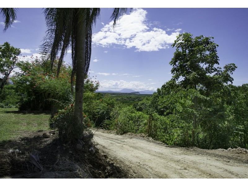 99 Trezise Road, Mowbray QLD 4877