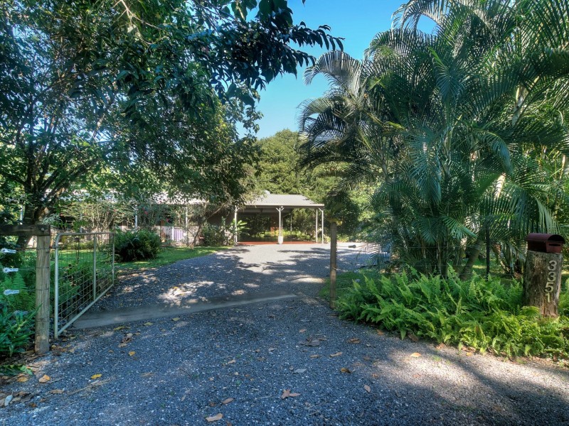 3351 Mossman Daintree Road, Daintree QLD 4873