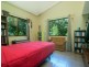 3351 Mossman Daintree Road, Daintree QLD 4873