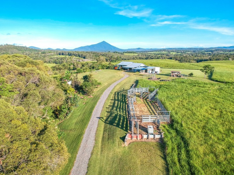 128 Pinnacle Road, Julatten QLD 4871