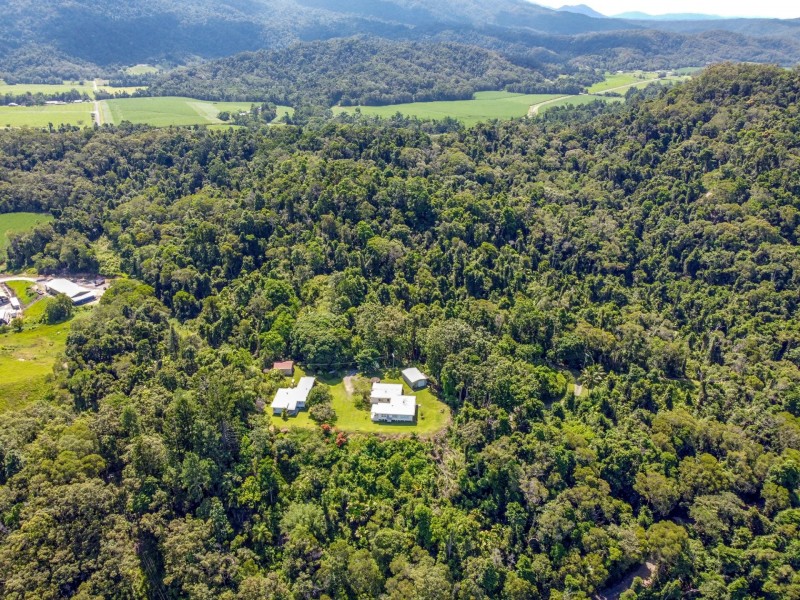 168-170 Syndicate Road, Miallo QLD 4873