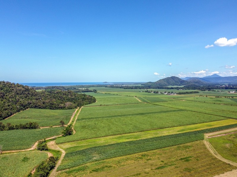 168-170 Syndicate Road, Miallo QLD 4873