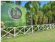 16 Ti Tree Resort/1-5 Barrier Street, Port Douglas QLD 4877