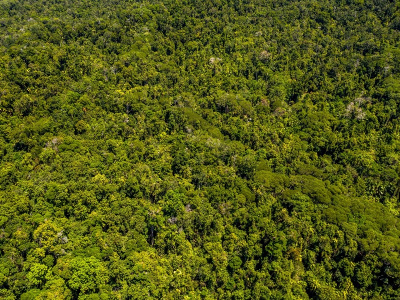 Lot 45 Kahana Road, Whyanbeel QLD 4873