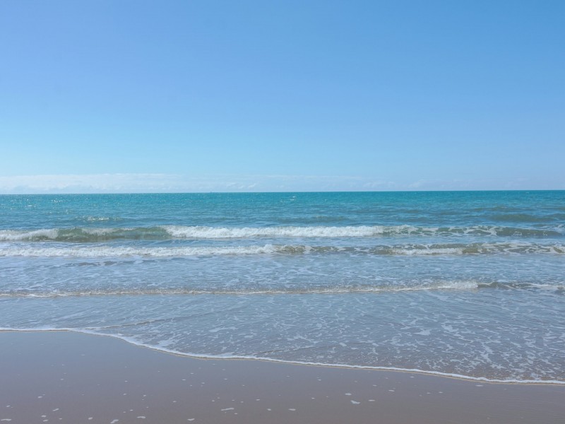 7 Hartley Street, Wangetti QLD 4877