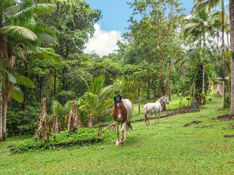 103 Kahana Road, Whyanbeel QLD 4873