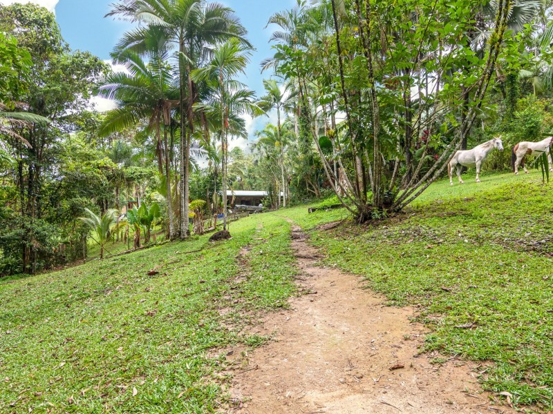 103 Kahana Road, Whyanbeel QLD 4873