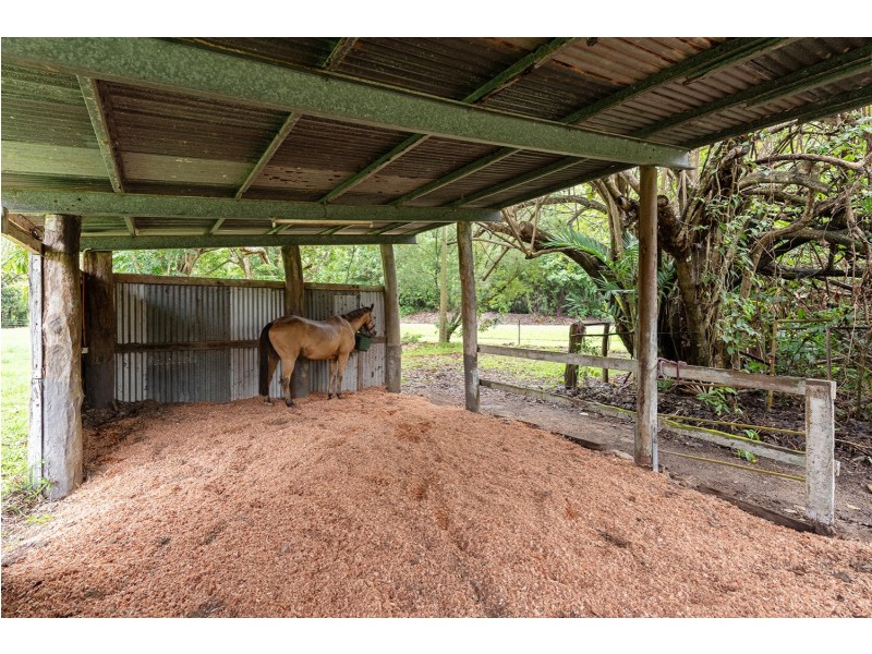 1596 Mossman Daintree Road, Wonga Beach QLD 4873
