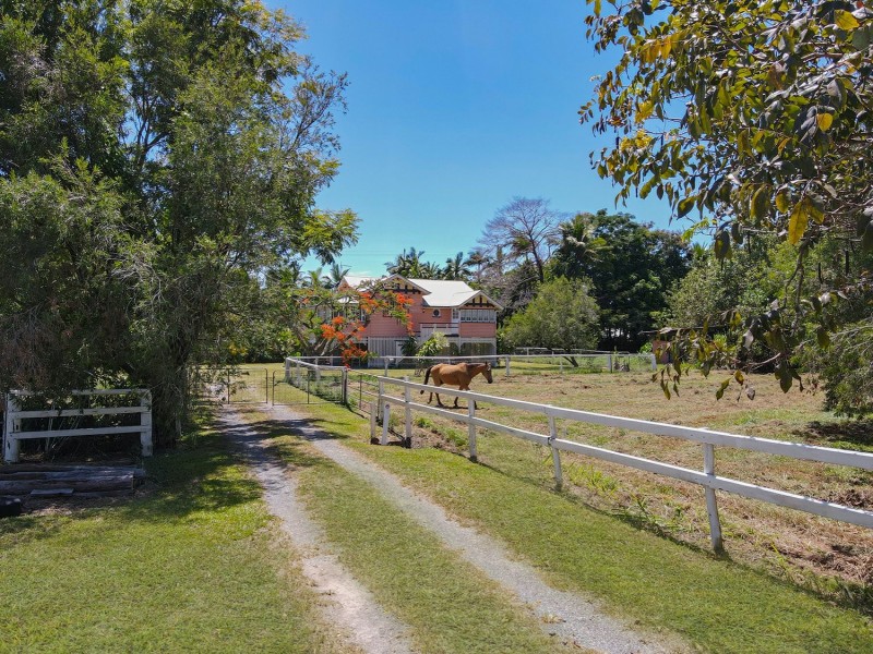 1596 Mossman Daintree Road, Wonga Beach QLD 4873