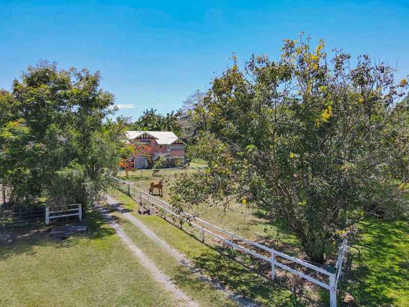 1596 Mossman Daintree Road, Wonga Beach QLD 4873