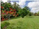 200 Clacherty Road, Julatten QLD 4871