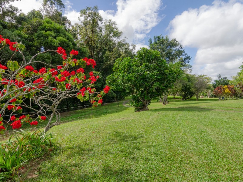 200 Clacherty Road, Julatten QLD 4871