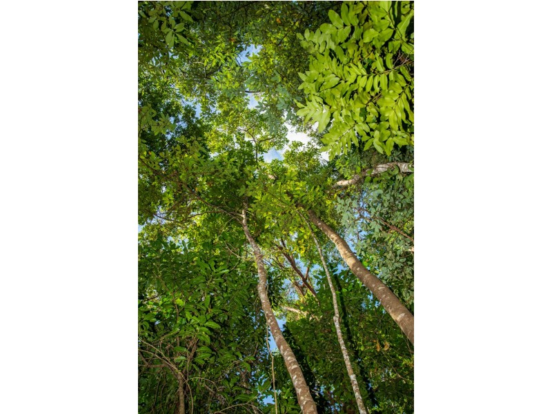 0 Francis Road, Killaloe QLD 4877