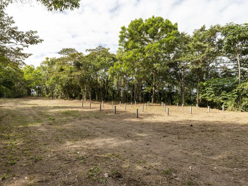 27 Sawmill Road, Mossman QLD 4873