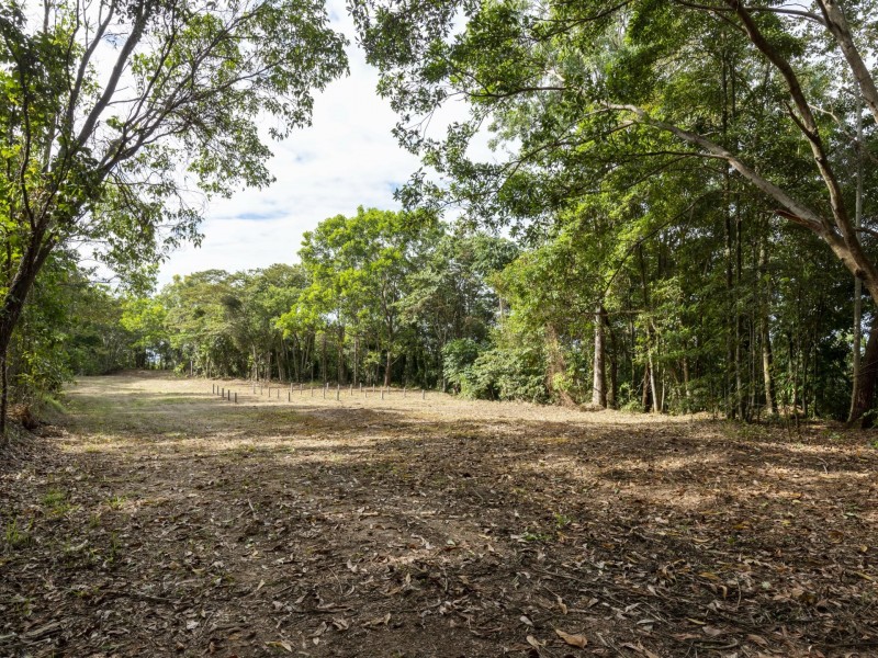 27 Sawmill Road, Mossman QLD 4873