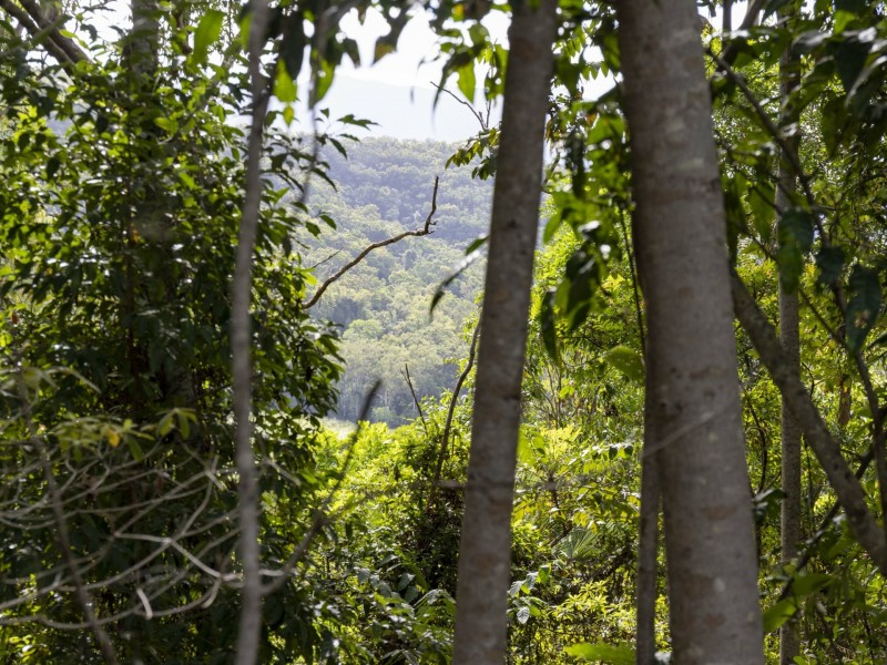 27 Sawmill Road, Mossman QLD 4873